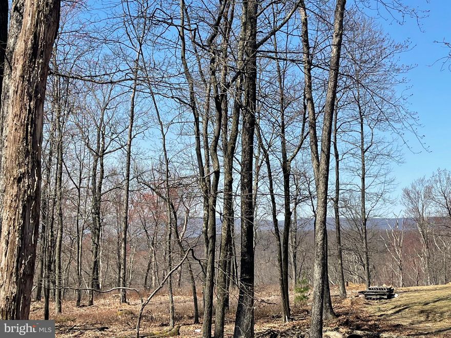 Looking to build in 2026 or beyond?  Secure your lot today!  Bring us your offers on this SMALL BUT MIGHTY level lot!!!  What this lot lacks in size you gain in VIEWS & PRIVACY....and....it's one of the last lots available on a paved road!!!   BUILD YOUR DREAM HOME on this .3 acre level lot atop the COVE VILLAGE COMMUNITY!  Clear the back of your lot to expose beautiful panoramic views.  EVEN BETTER, THIS LOT IS BORDERED BY HUNDREDS OF ACRES OF COMMUNITY RECREATIONAL LAND, MEANING THE ONE NEIGHBOR YOU HAVE IS ALL THAT YOU'LL HAVE!!  It also means your .3 acre lot feels like it's SO MUCH LARGER!  Whether you've been imagining building a second home or just waiting to build that forever home, WAIT NO MORE!  The Cove Village Community is situated in the foothills of the Poconos and only 1 1/2 hours to New York,  With easy access to I-81 your commute to Hazleton, Wilkes Barre, or Scranton is a breeze.  Bring your own builder and let's get started.   Another cost-saving perc of the community is having public water and sewer already in place and ready for you to connect through Aqua of Pa.   750 acres of unoccupied prime hunting, ATV, and snowmobile riding land surround the residential portion of Cove Village and is allocated only for the residents of the community and their guests!  Driving through the community, the peace and tranquility will envelop you.  At any given moment the deer, turkey, and birds will entertain you in your own backyard.   Homes within the community vary from rustic cabins and chalets to traditional ranch or two-story homes and even exquisite new construction or dreamy mountain log homes.  There really is something for everyone.  The approximately 278 acres of residential homes and lots are occupied by full-time residents, part-time vacation homes, and even some snowbird second homes.  Cove Village offers an abundance of amenities including a swimming pool, stocked fishing lake, a basketball court, tennis courts, a volleyball court, 2 playgrounds, a baseball field, ATV paths, hunting, a mini golf course, walking paths, and year-round Community events.  I can't forget to mention the beautiful lodge ideal to rent for family gatherings.   This lot and community just might be exactly what you've been looking for.  Air B and B are not permitted. Camping on vacant lots is not permitted.  Mobile homes are not permitted.  The minimum square footage when building is 1400 square feet.  The community maintains the roads and snow removal.  Trash collection is also provided.   An appointment is required to view due to the gated community.  Call to schedule your tour today!