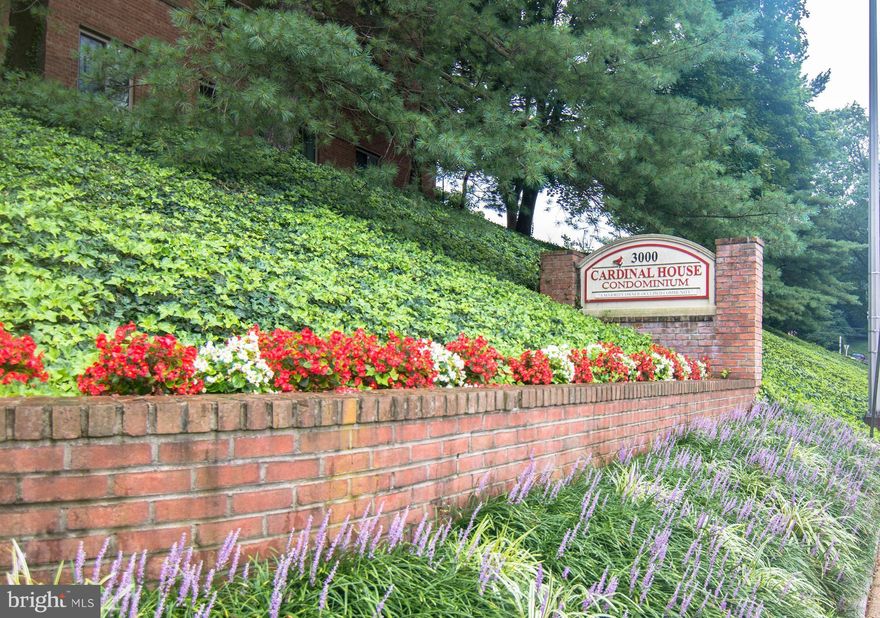 All utilities covered in rent!!!   Looking for space? Look no further, large 1BR/1BA.  Move in condition. Great storage throughout.  Spacious, bright 1BR/1BA. in Cardinal House. Amenities include outdoor pool, gym, party room. Great parking. Minutes to DC via GW PKWY/Lee Highway, close to Clarendon Metro. Across the street from Italian Store/Giant/24 hour CVS/Starbucks and more.