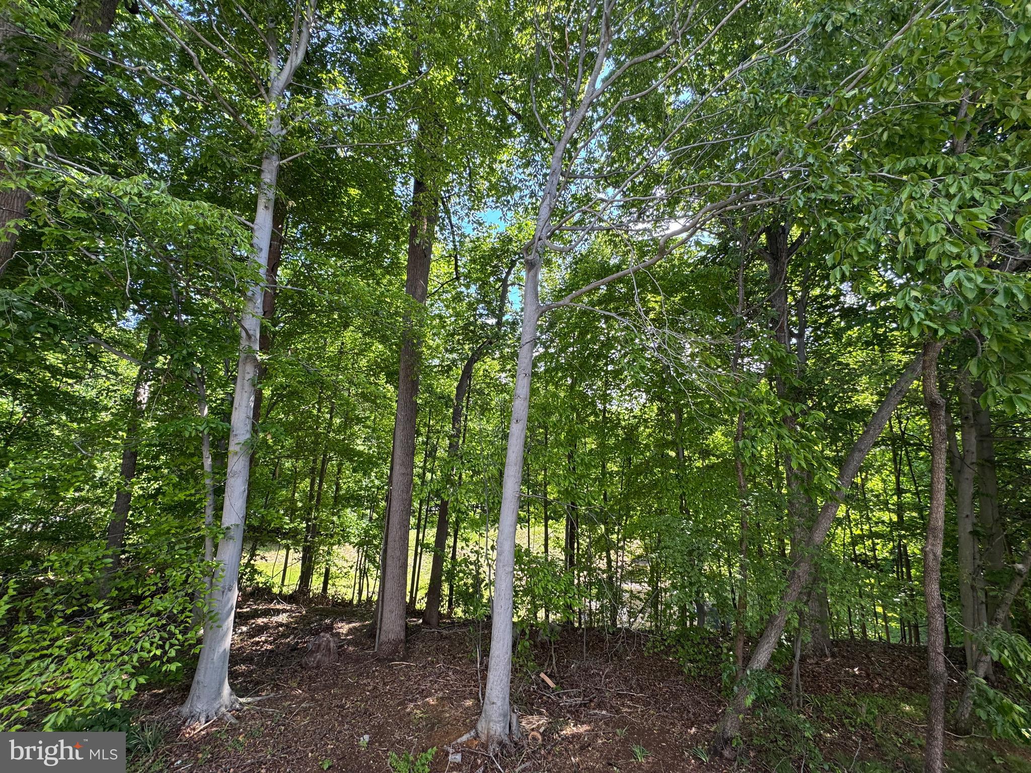 BOWLING BROOK FARMS - Residential