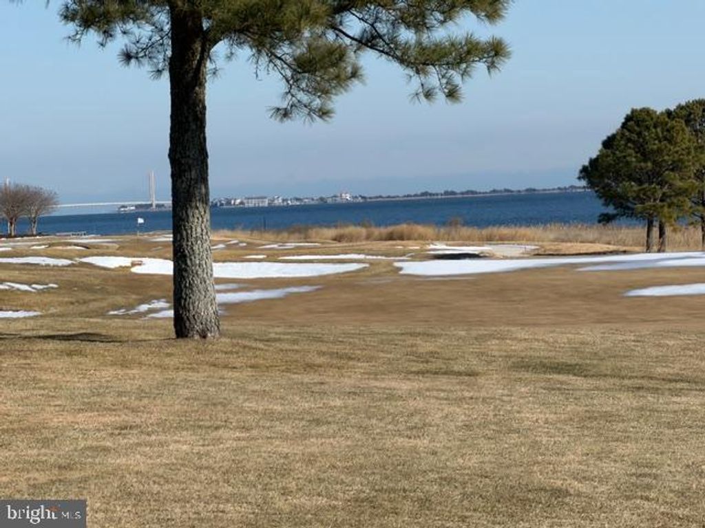 Photo of 33529 Tiderunner Avenue, MILLSBORO, DE 19966 (MLS # DESU2104534)