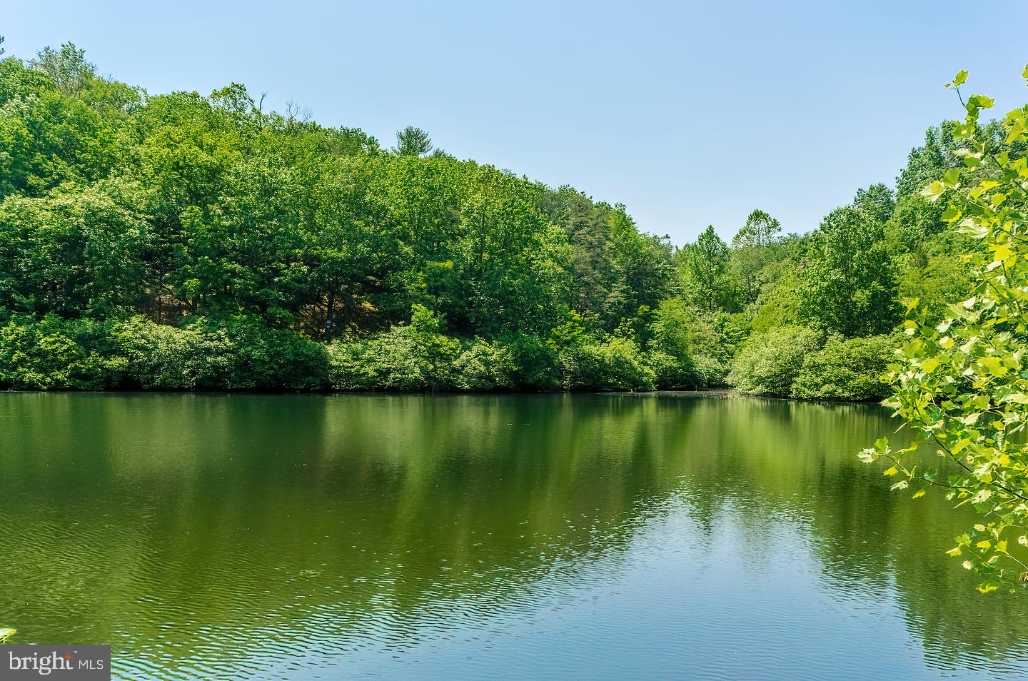 THE WOODS RESORT - Residential