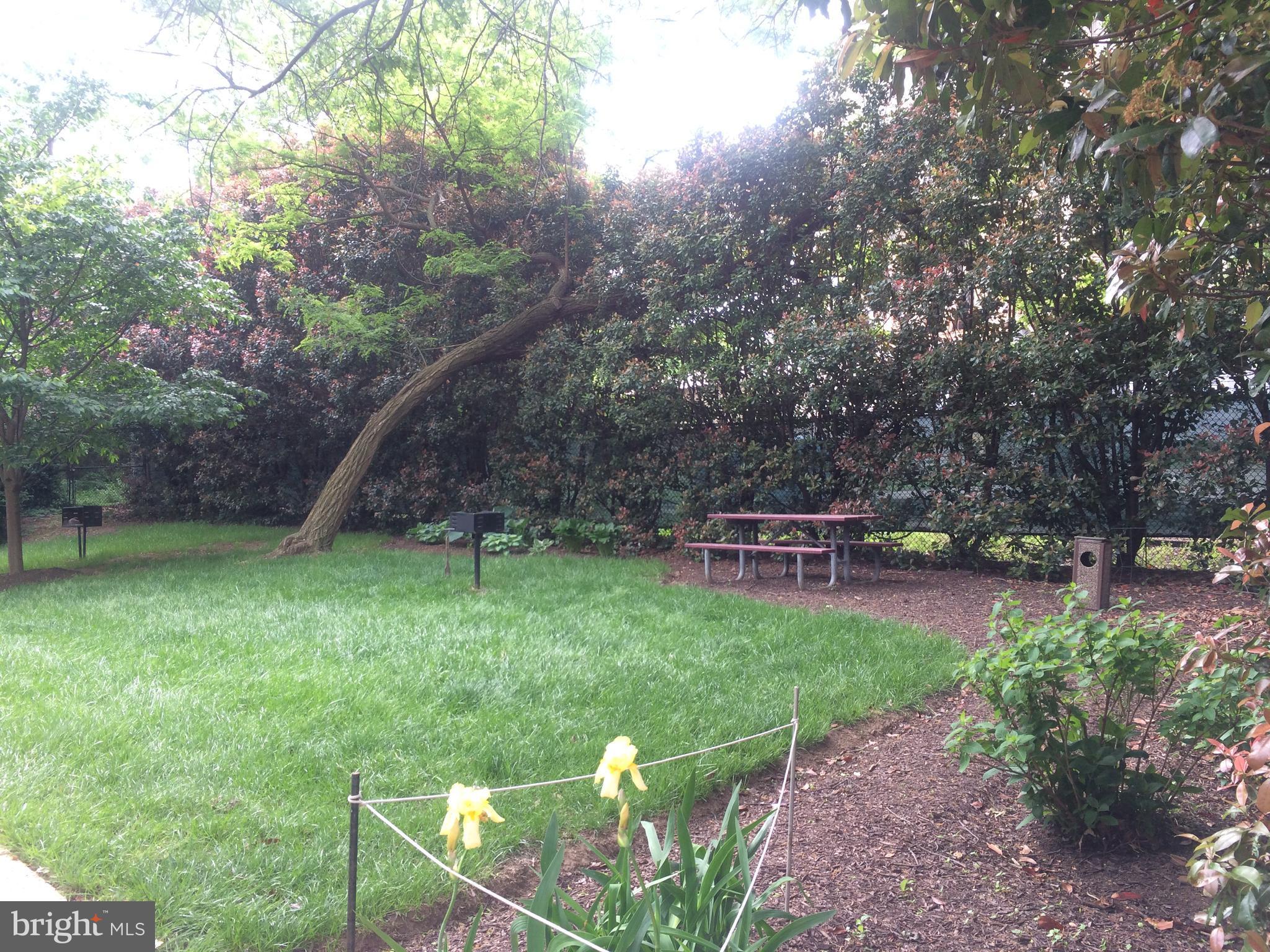 MARINA TOWERS - Residential Lease