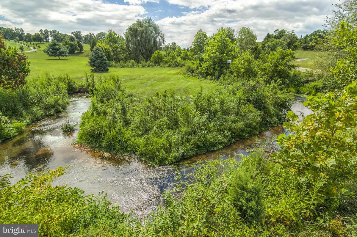 BIG SPRING FARM - Farm