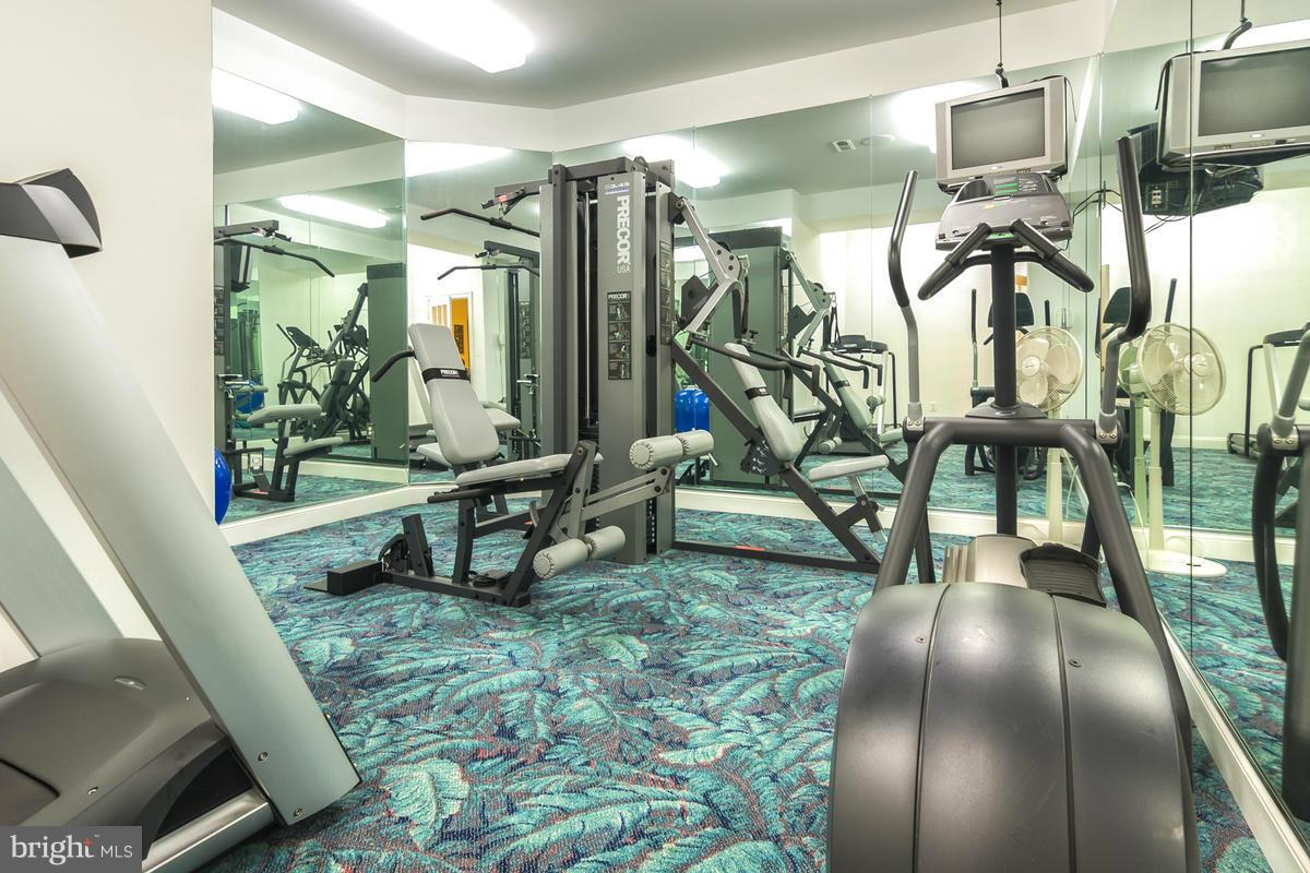 BIG SPRING FARM - Farm