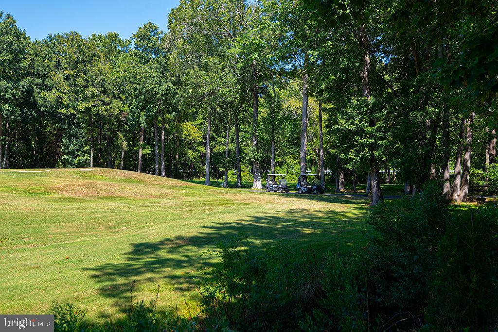 OCEAN PINES - INNERLINKS - Residential