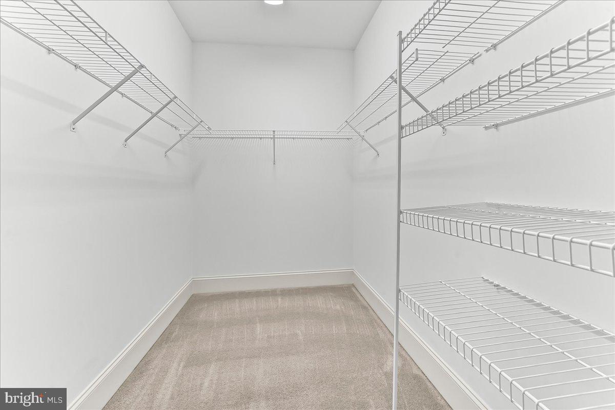 CEDAR GROVE ESTATES - Residential