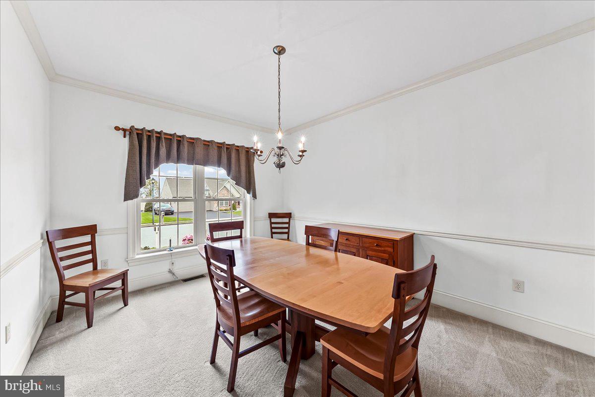 CEDAR GROVE ESTATES - Residential