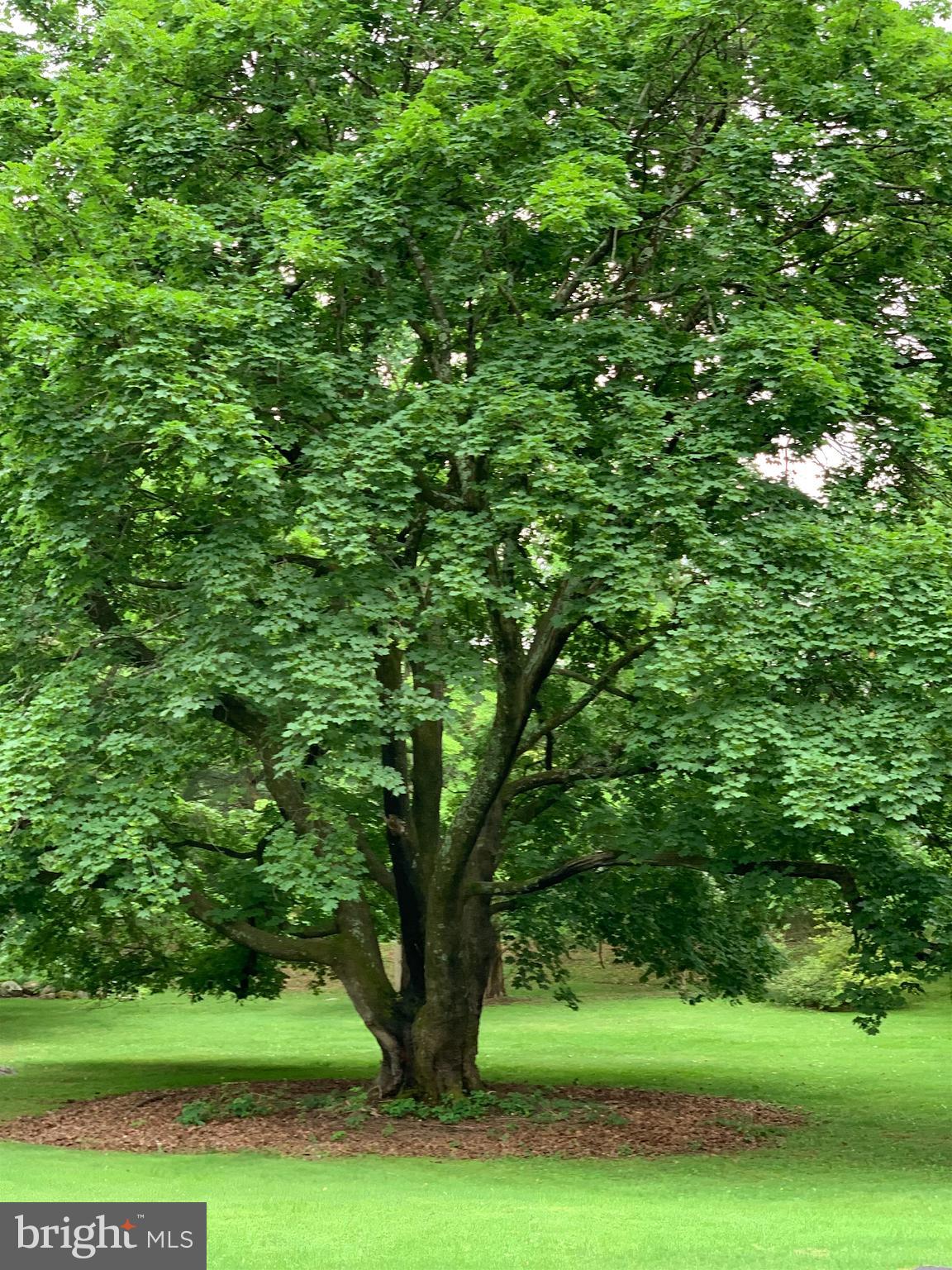 GLENMOORE WOODS - Residential