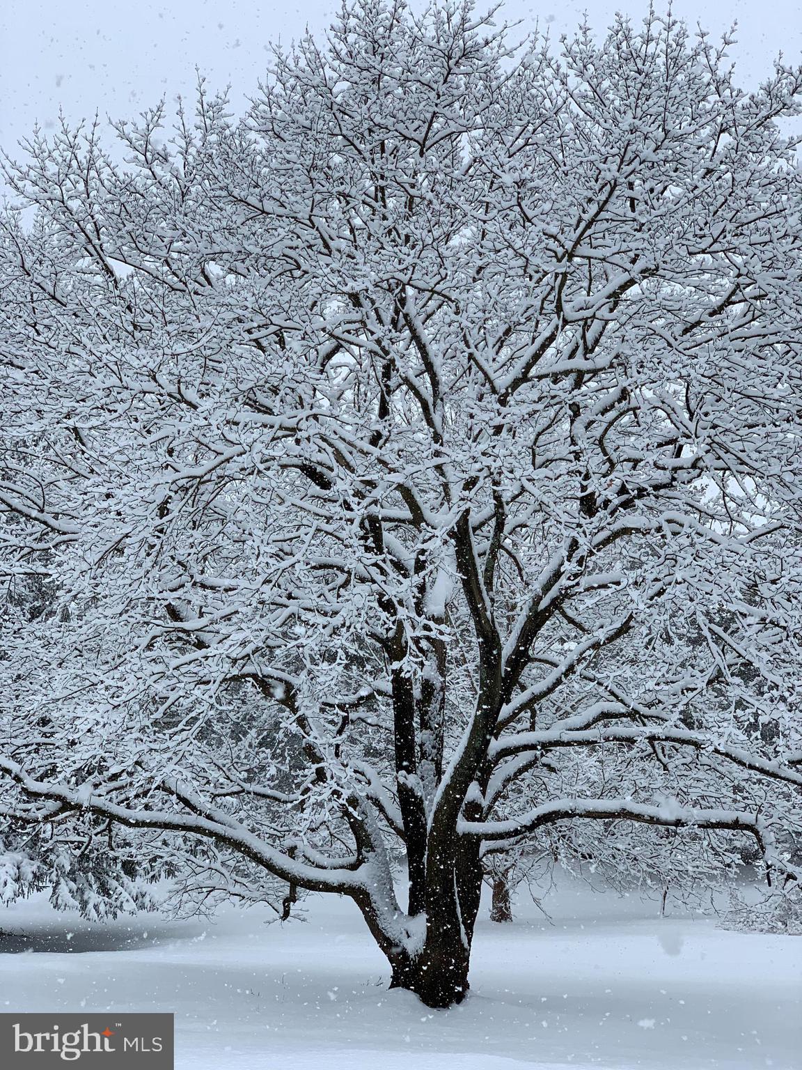 GLENMOORE WOODS - Residential