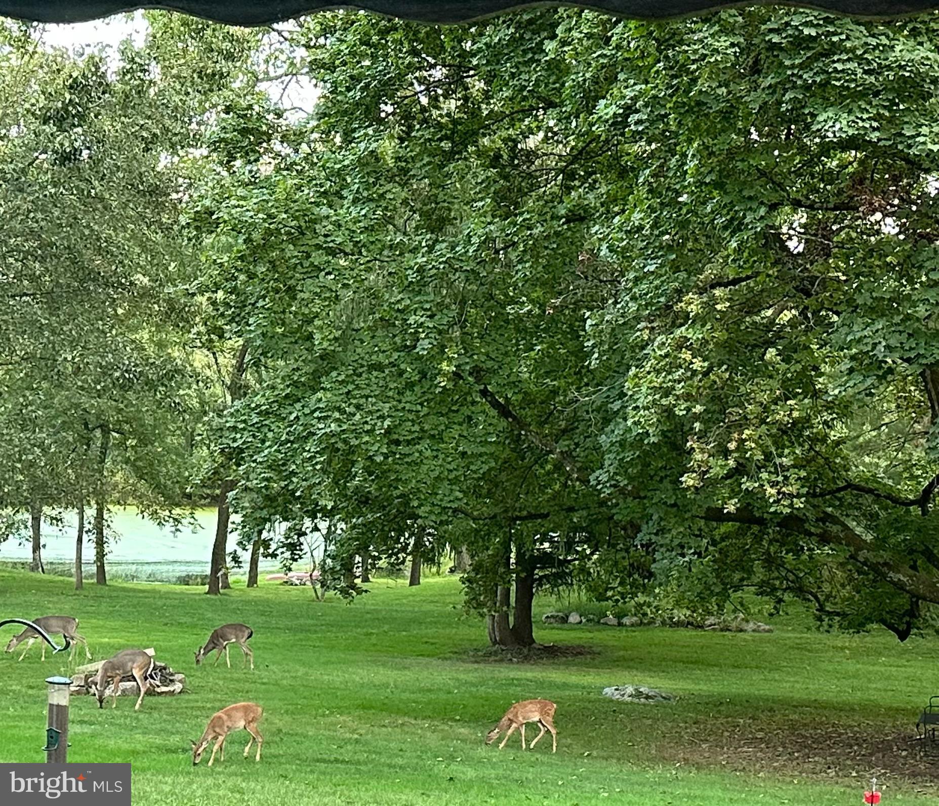 GLENMOORE WOODS - Residential