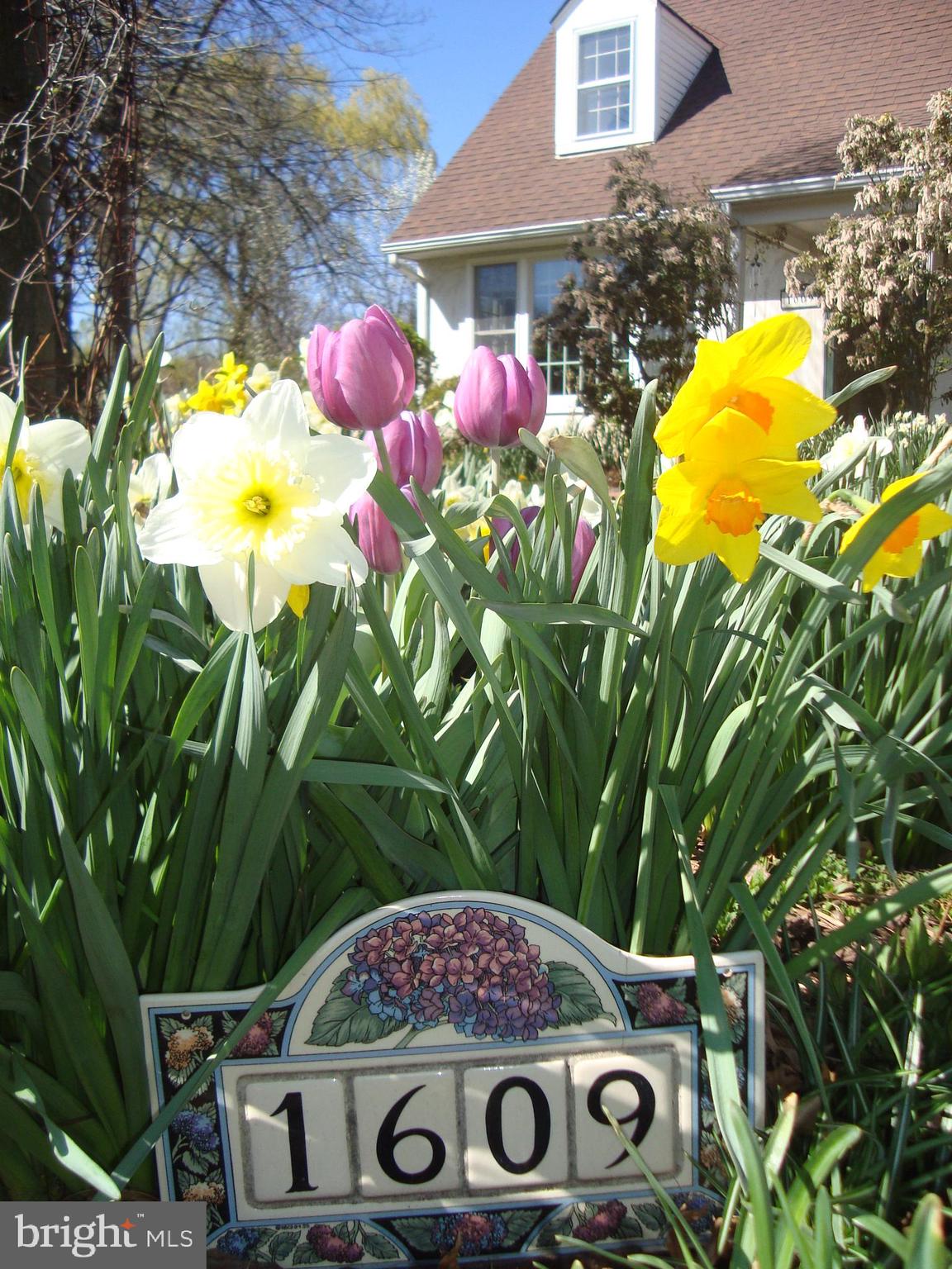 1609 WALTON ROAD