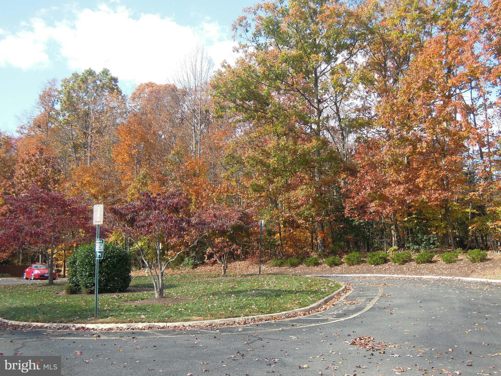 SPRING KNOLL - Residential