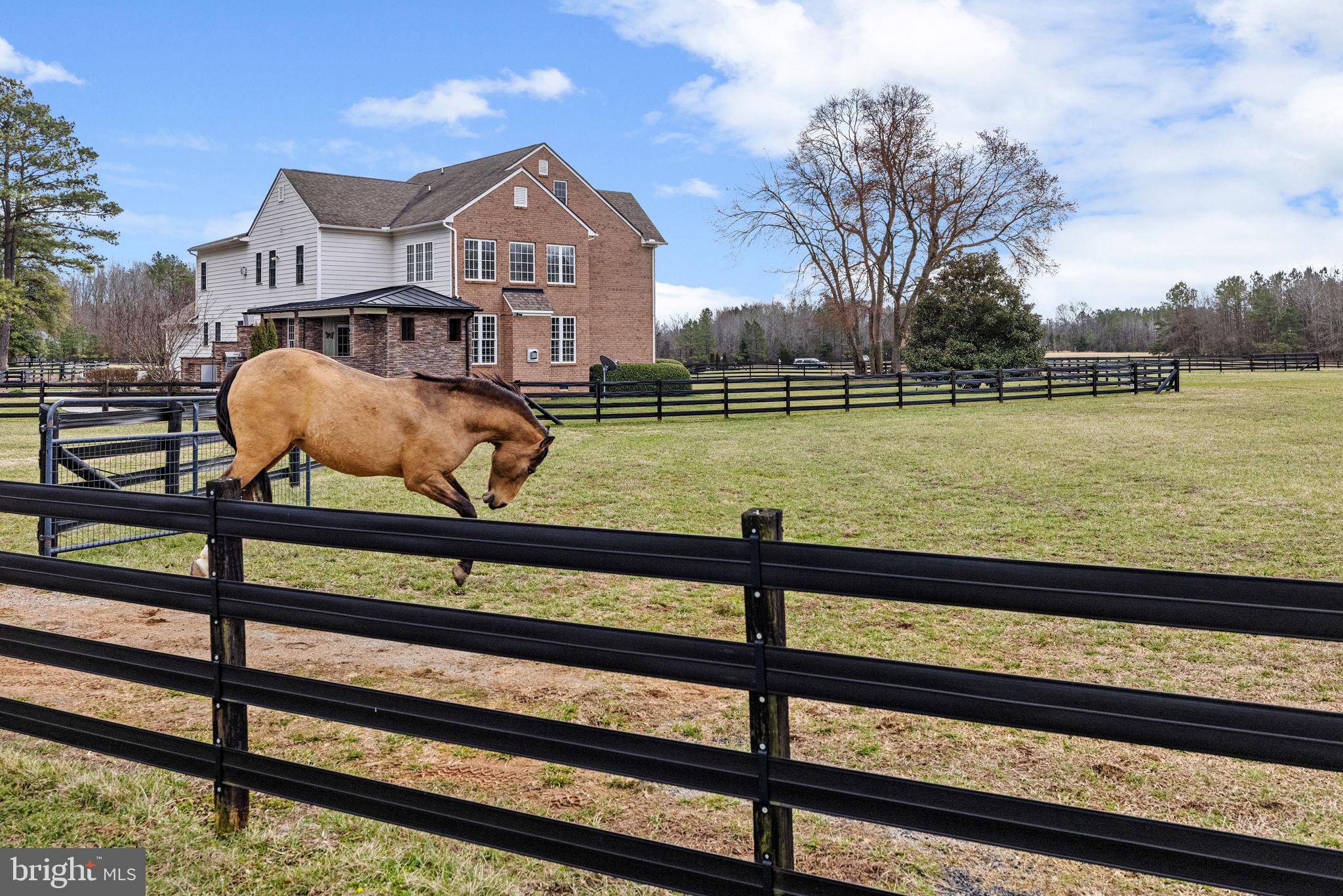 RED HILL - Residential