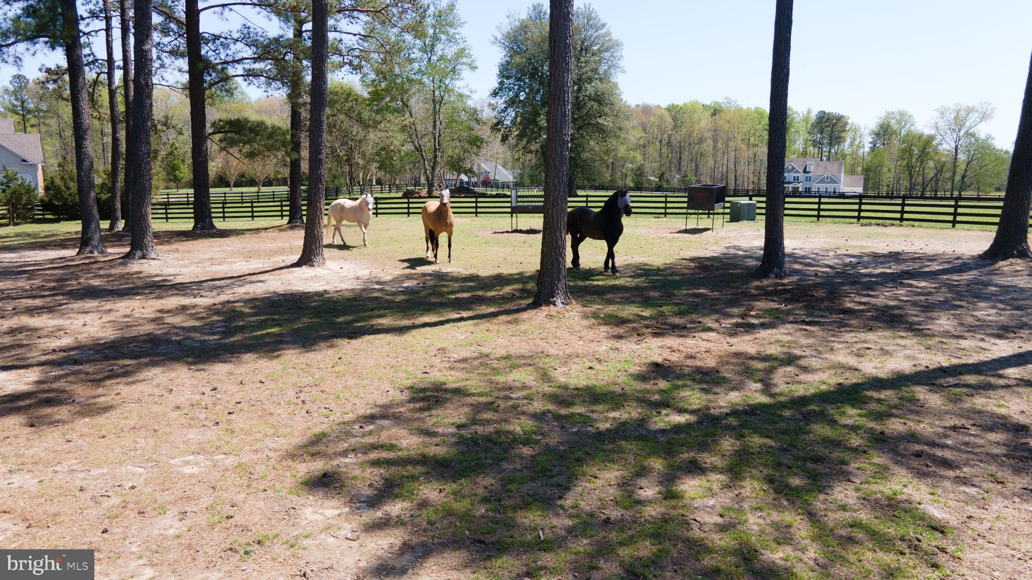 RED HILL - Residential