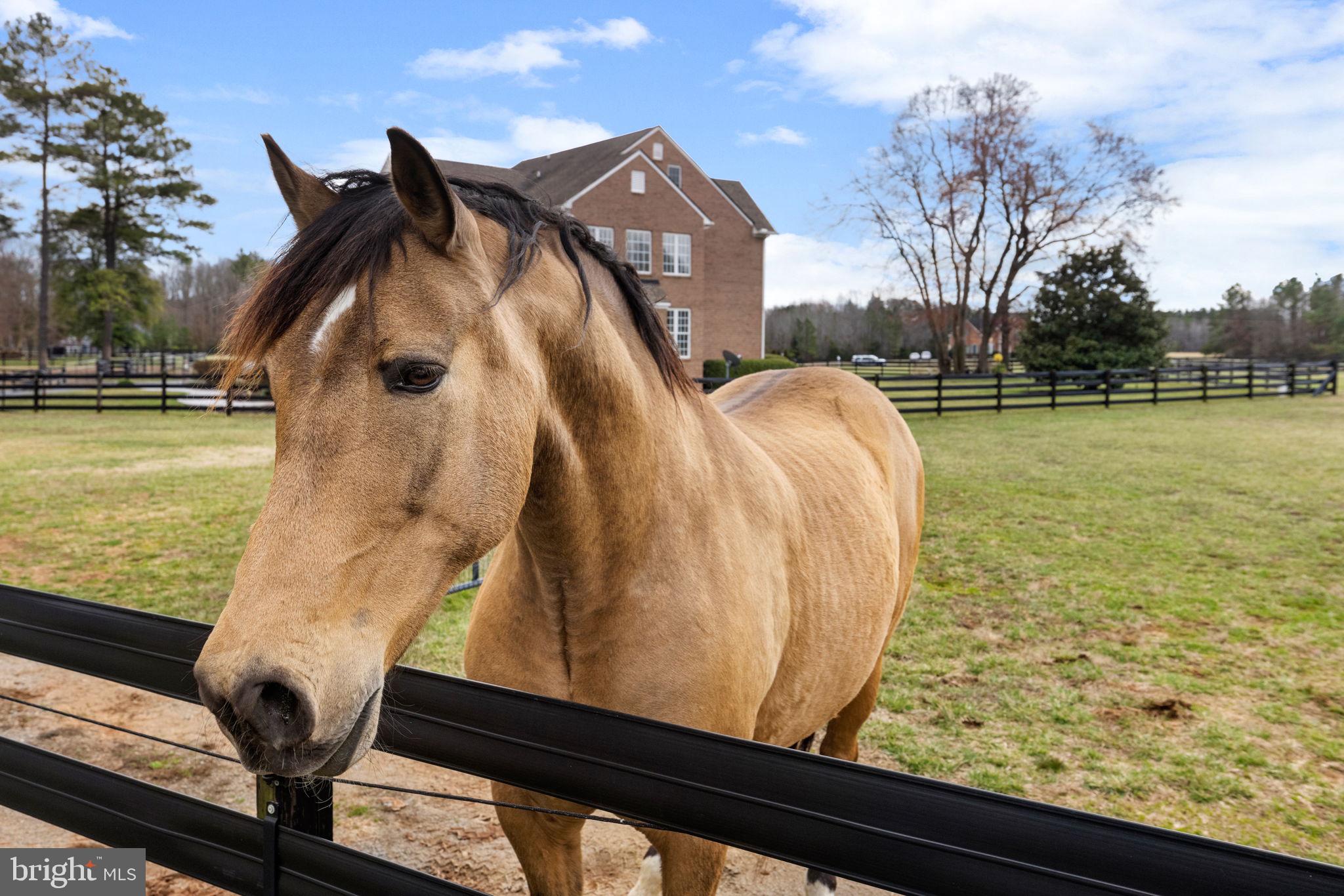 RED HILL - Residential