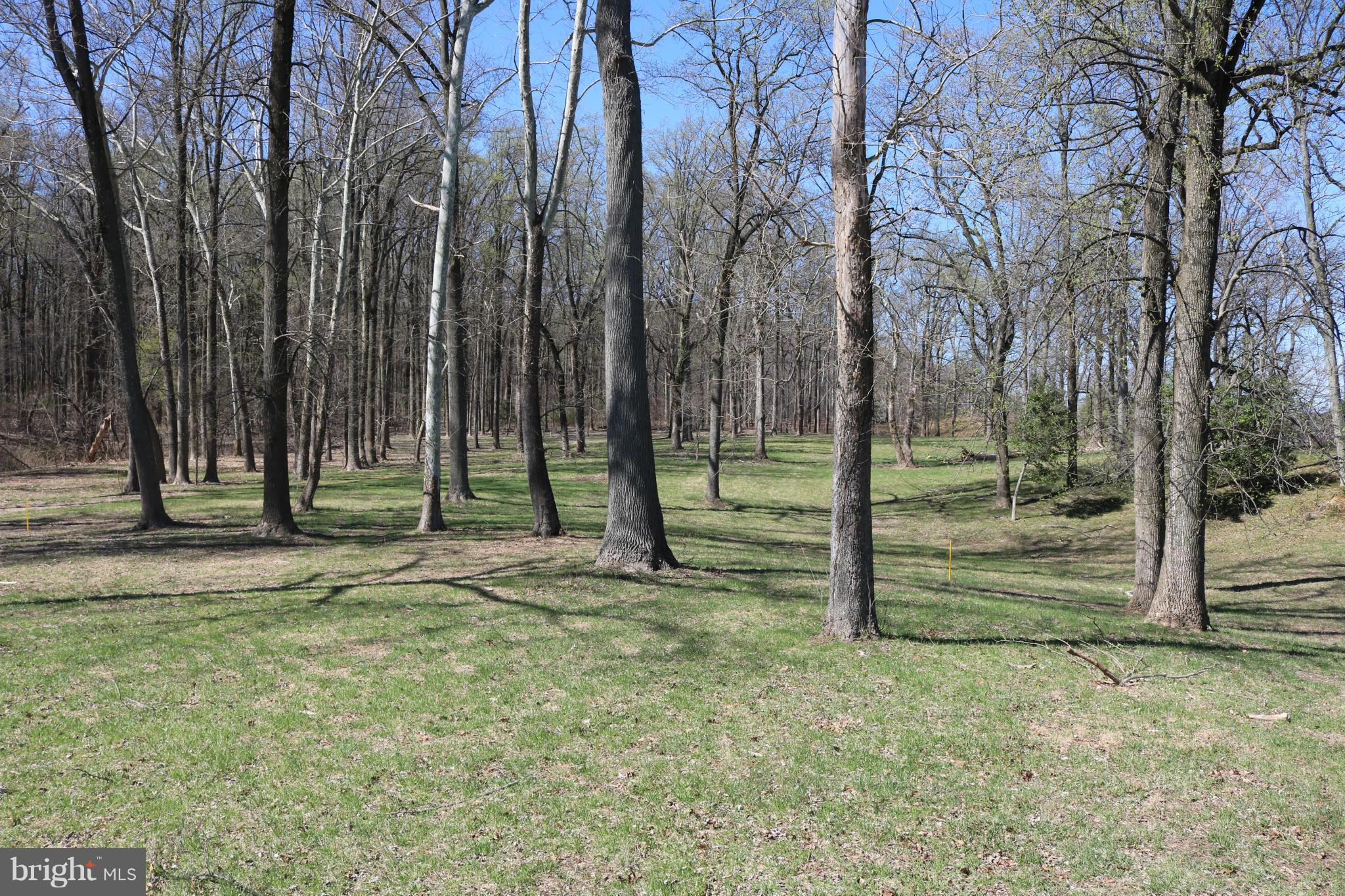 NONE AVAILABLE - Land