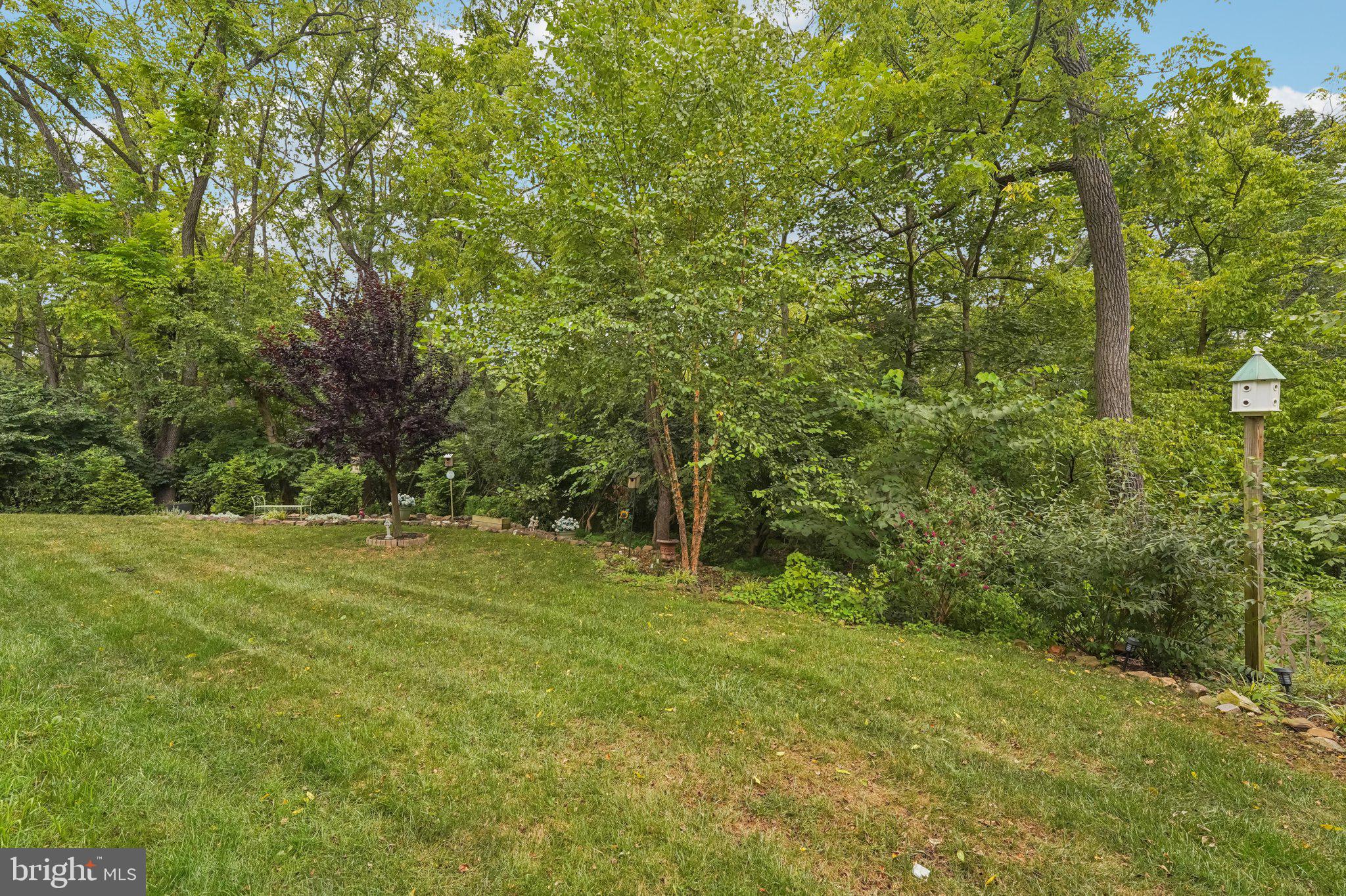 SPRING HOUSE LANE - Residential