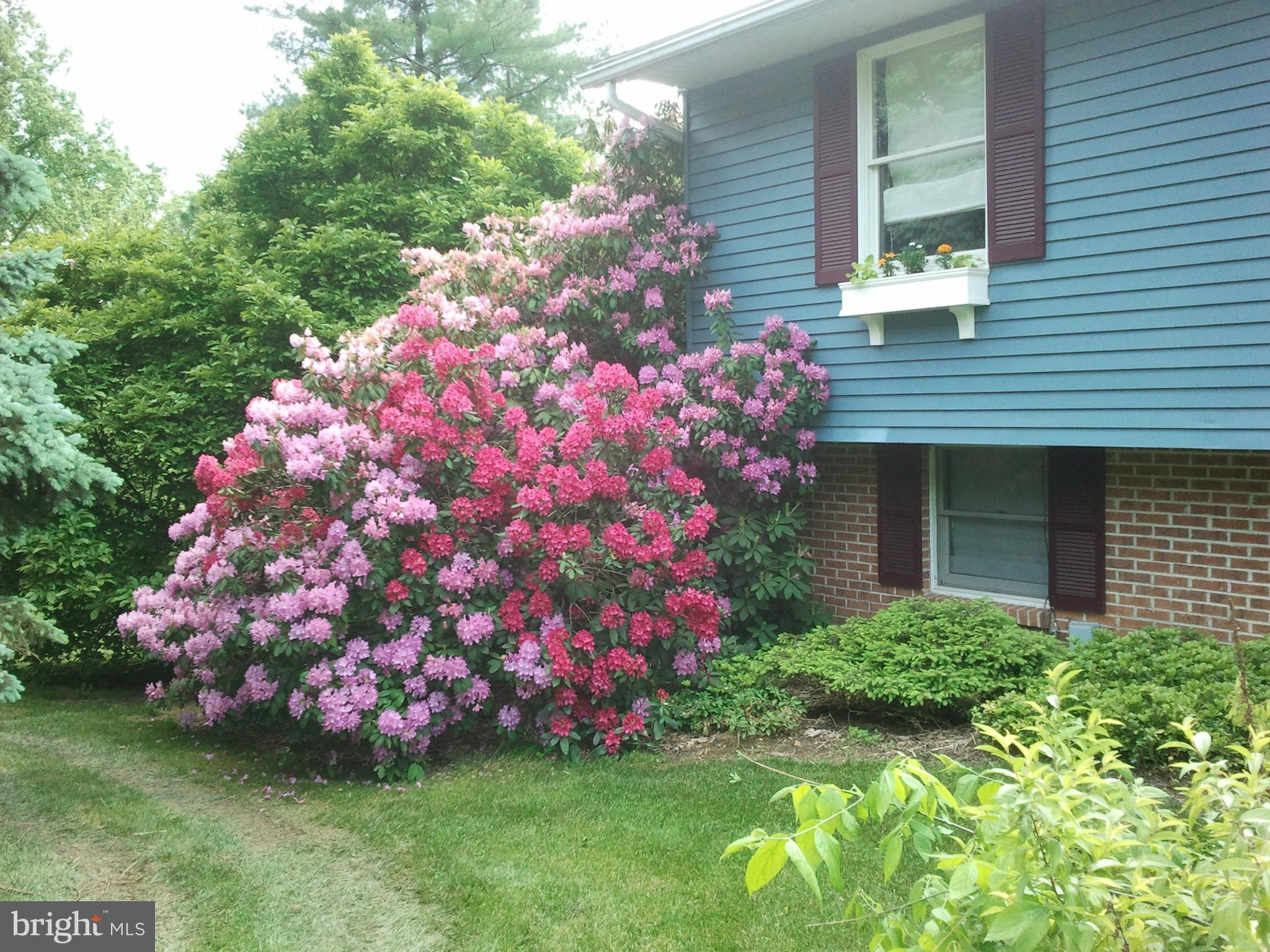 GREENLEAF - Residential