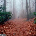 SUGARLOAF ESTATES - Residential