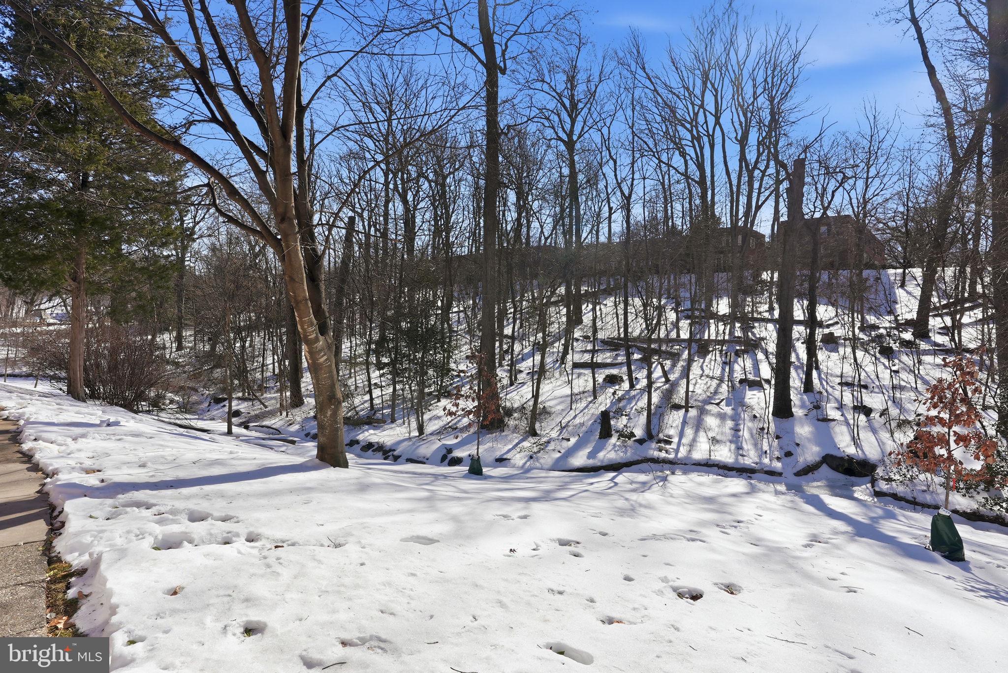 ARLINGTON VILLAGE - Residential