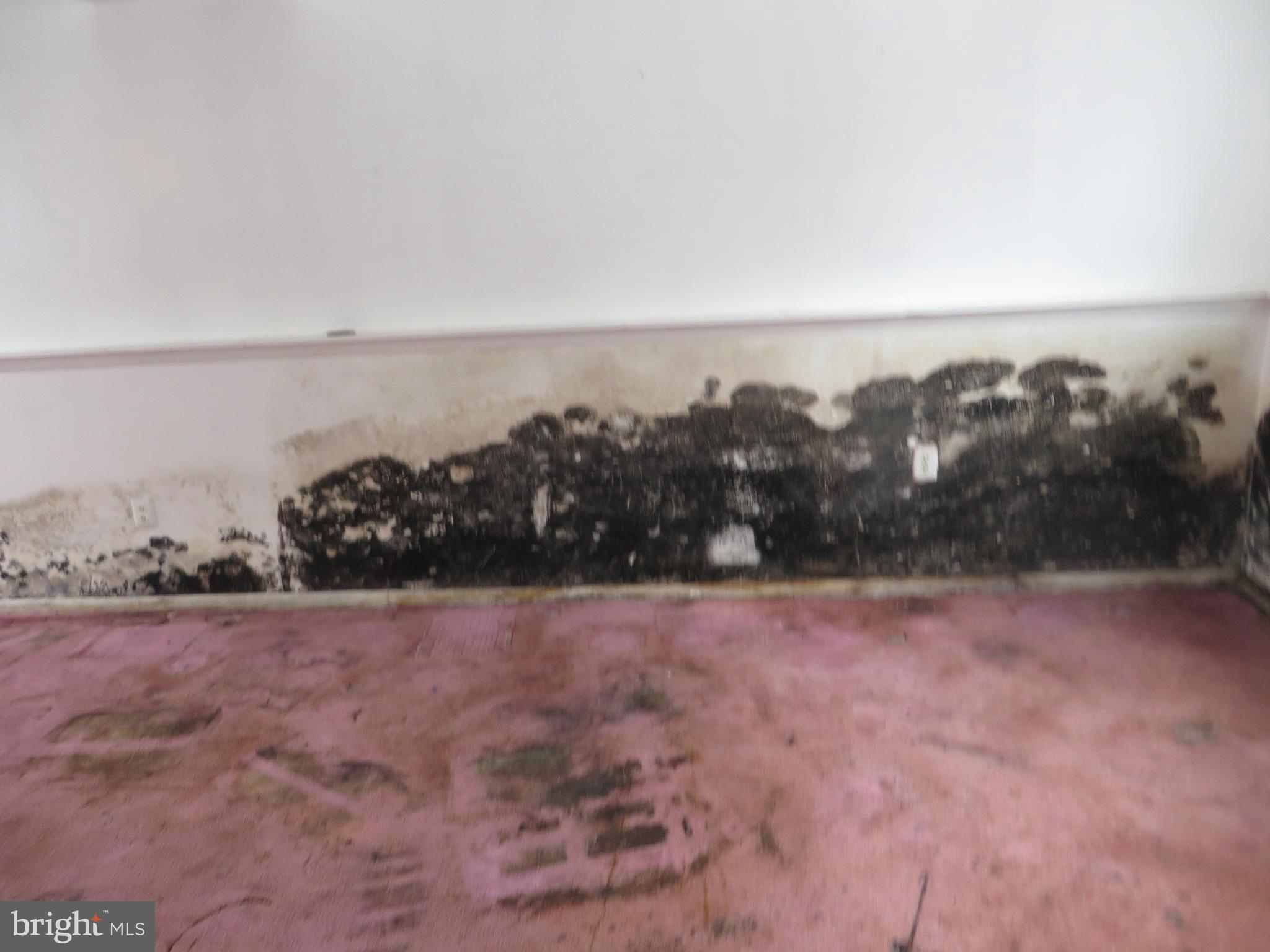 MARY-CATHERINE ESTATES - Residential