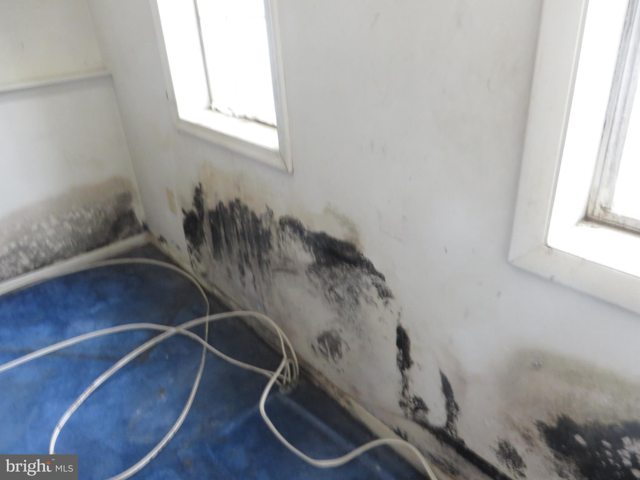 MARY-CATHERINE ESTATES - Residential