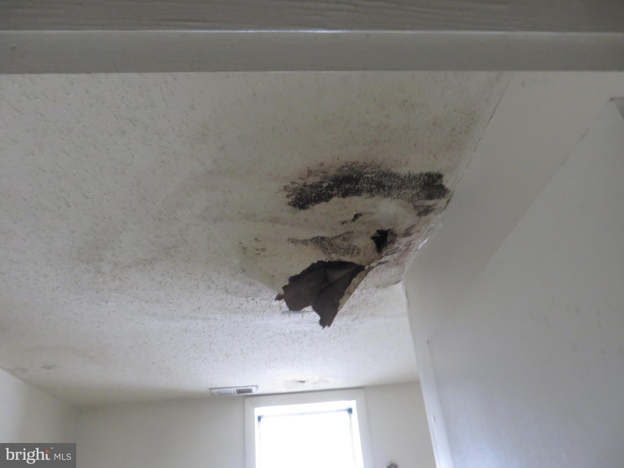 MARY-CATHERINE ESTATES - Residential