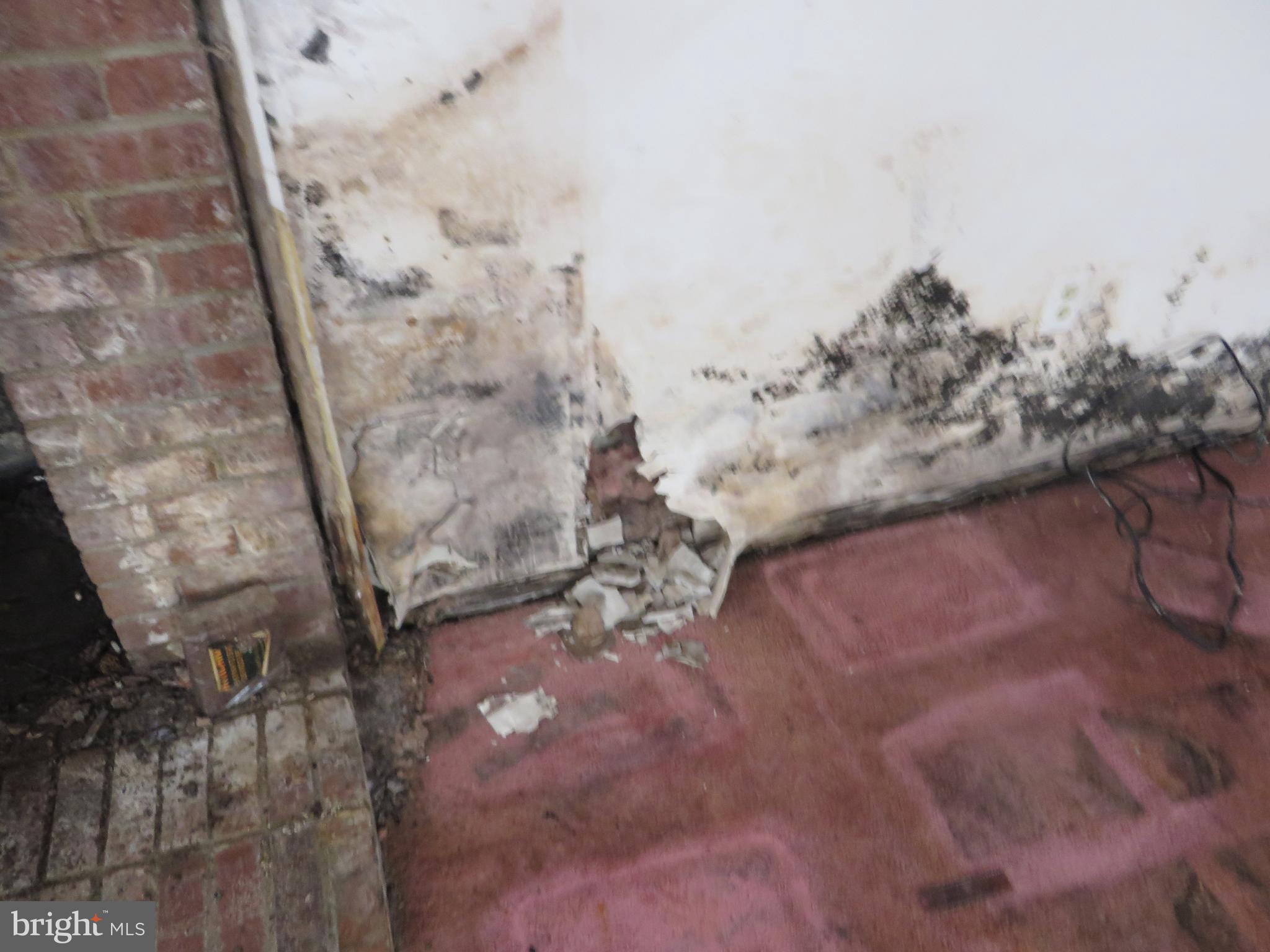 MARY-CATHERINE ESTATES - Residential