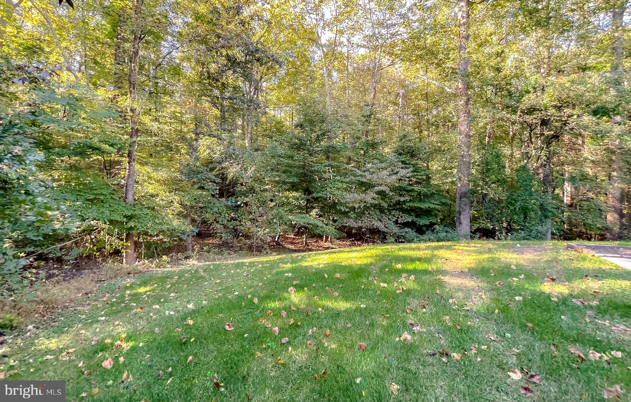 LORINS PRIDE - Residential