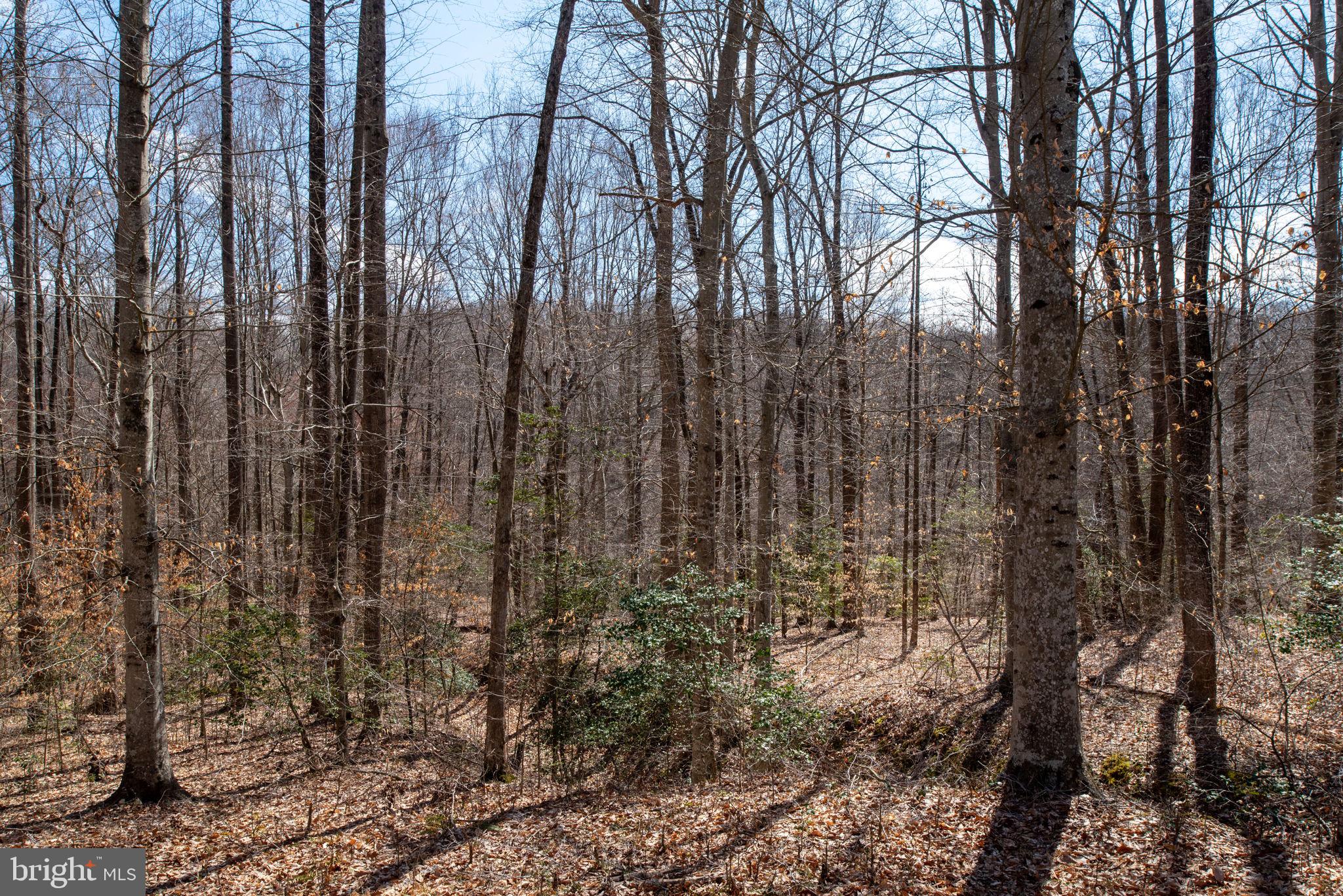 NON SUBDIVISION - Residential