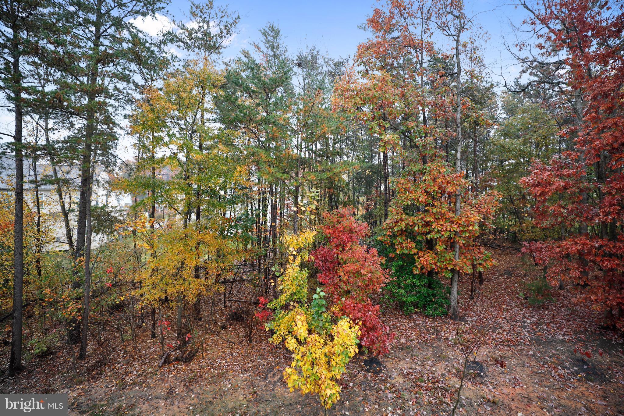 TANYARD SPRINGS - Residential