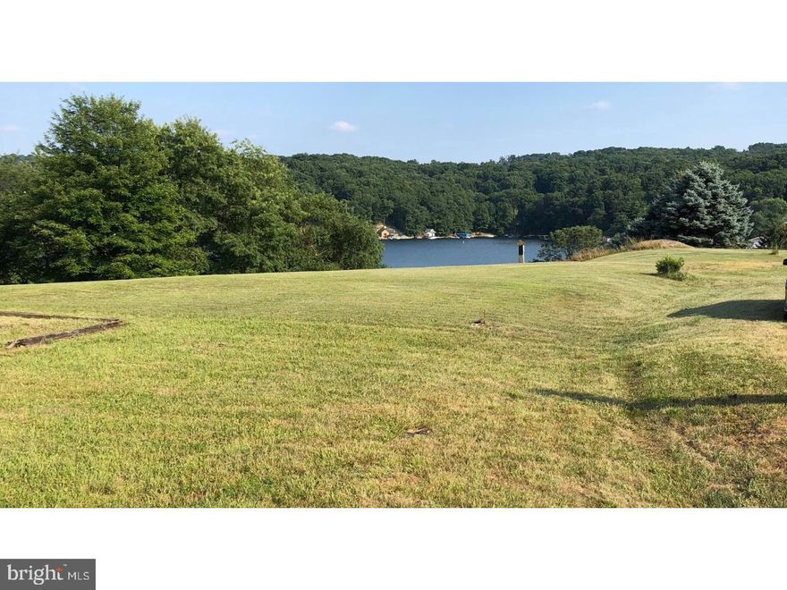 Unique lot in the gated community of Lake Wynonah!  Located very close to the back gate, sits on Mustang Cove and offers beautiful Lake Views!!  Build your dream home here!