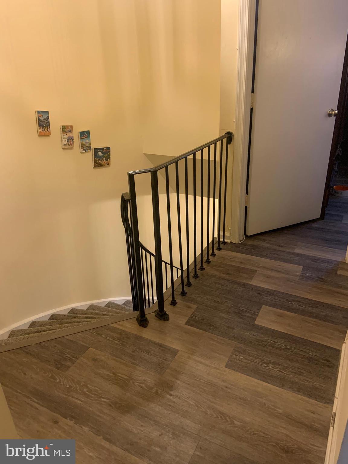 CARDINAL FOREST - Residential