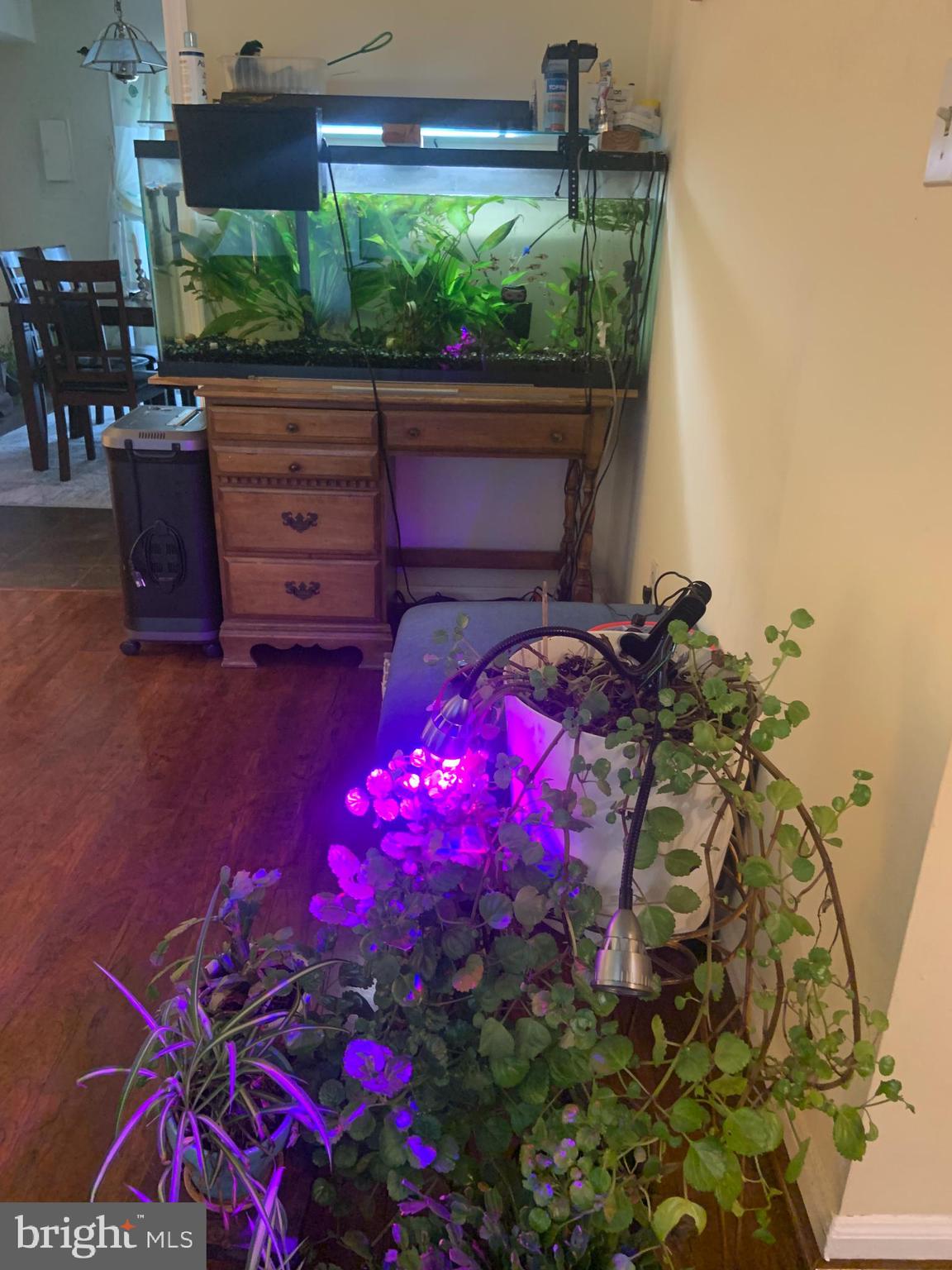 CARDINAL FOREST - Residential