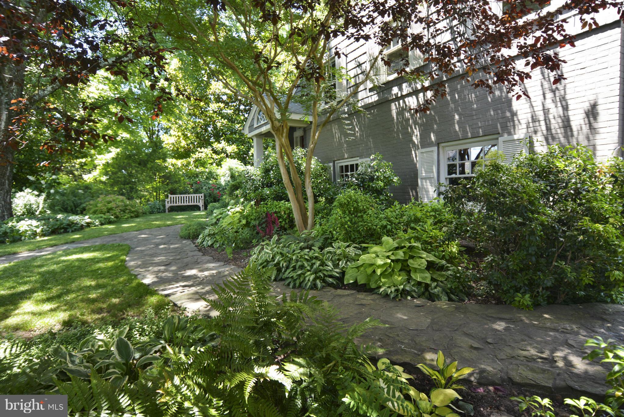 PENDENNIS MOUNT - Residential