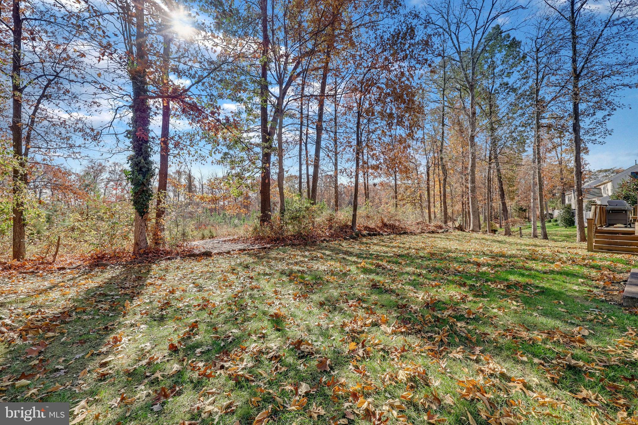 VIRGINIA OAKS - Residential