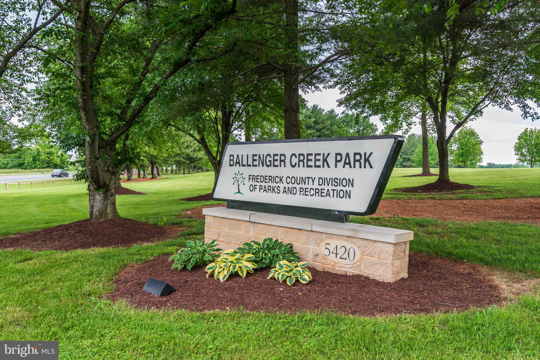 ROBIN MEADOWS - Residential