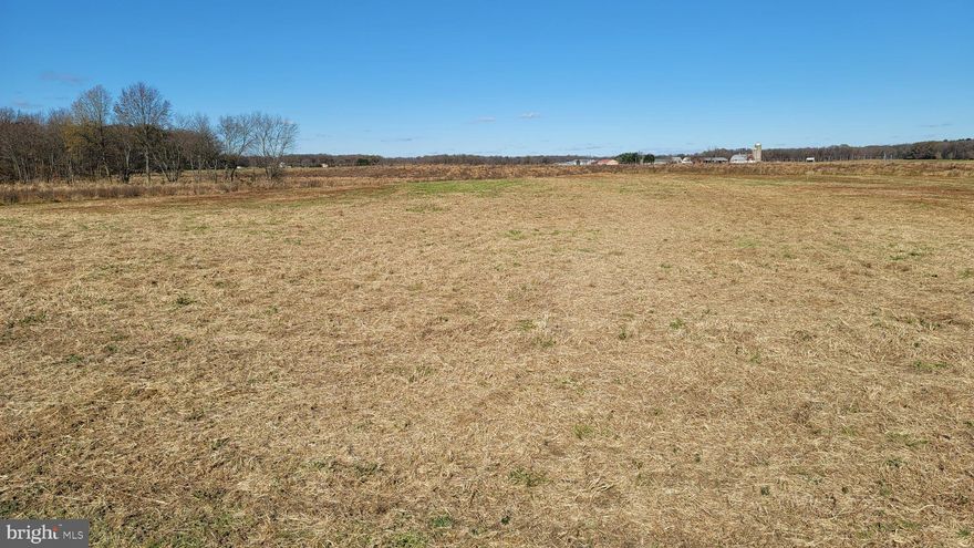 Beautiful level lot, approved perc and ready for you to build a lovely country home.  Lot 5 (145 Murphy Road) is contiguous with Lot 6 (157 Murphy Road); buy them both for almost 3 acres.  Also see Lot 7 (209 Murphy Road) for sale.  All three lots are the same price.  Act fast to get your pick of the litter!  Great location; it's a short drive to either Historic Annapolis or the beaches at Ocean City.