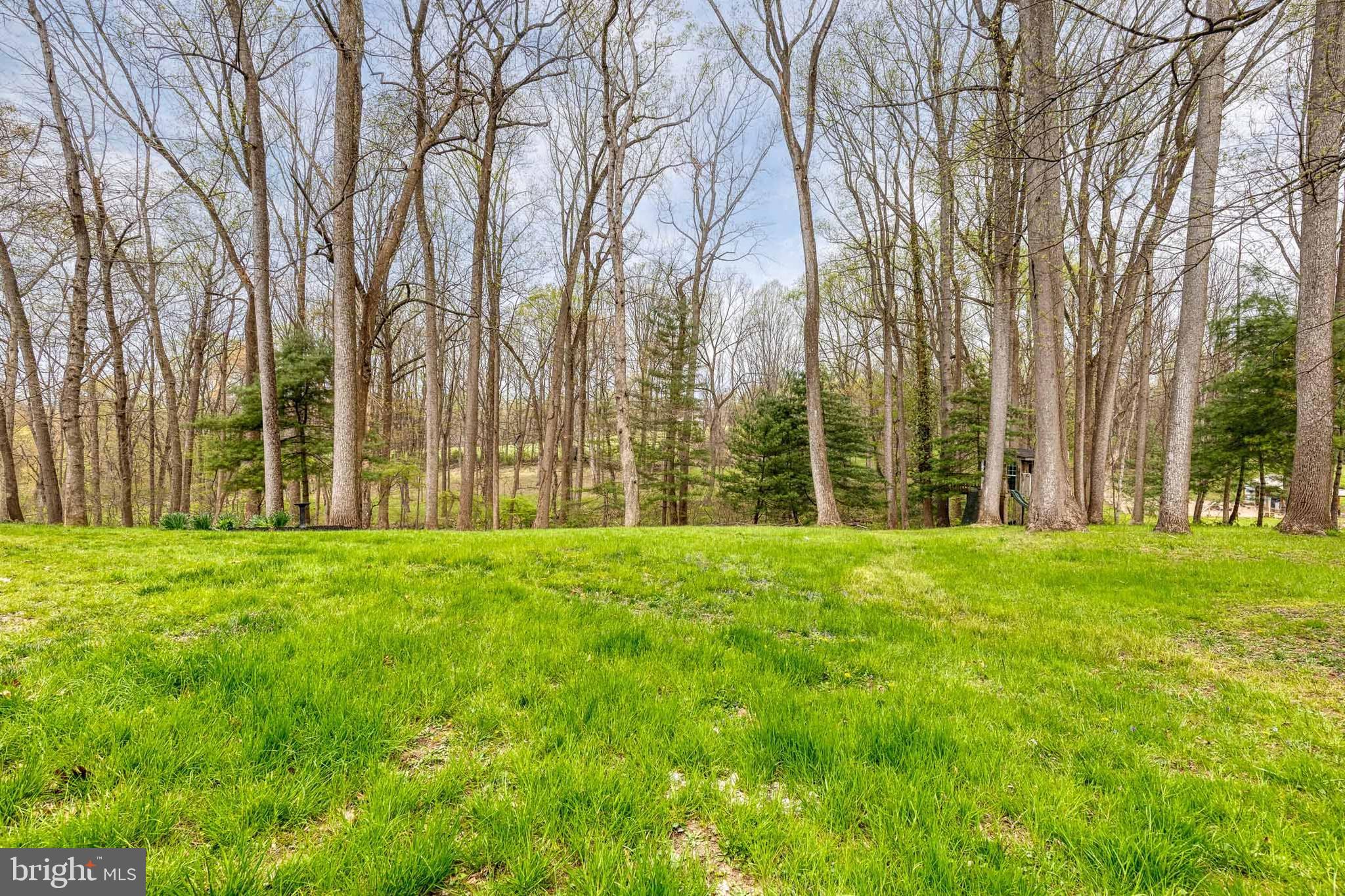 FOREST HILL - Residential
