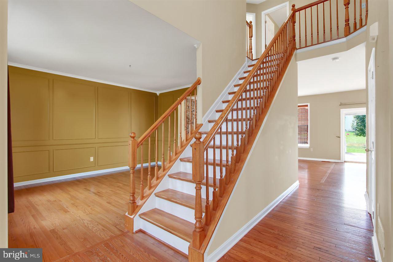 RAINTREE - Residential