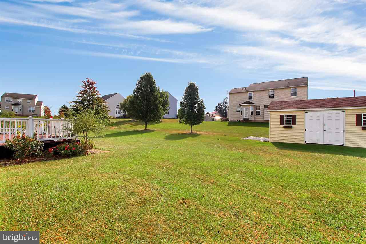 RAINTREE - Residential