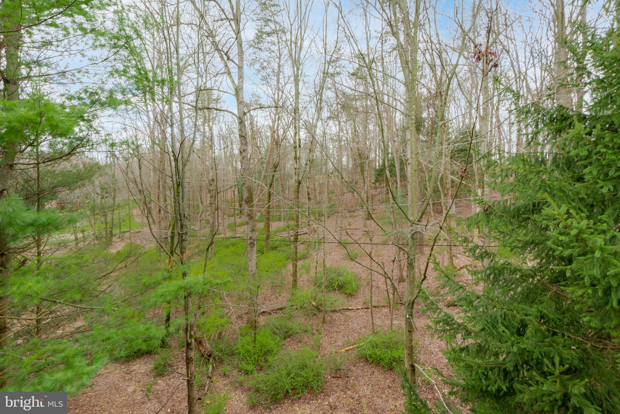 NEW TOWN - Residential