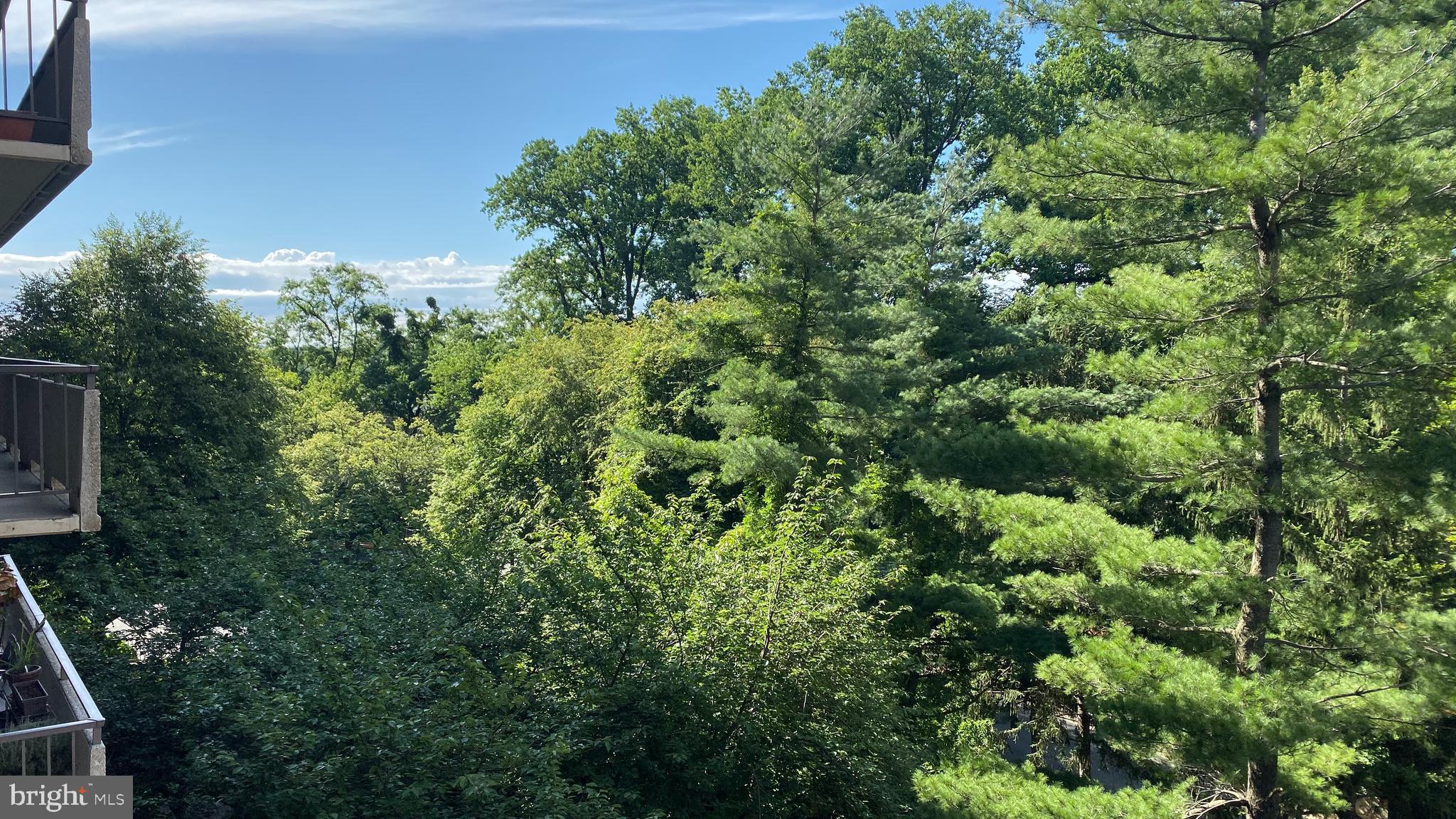 REGENCY AT MCLEAN - Residential