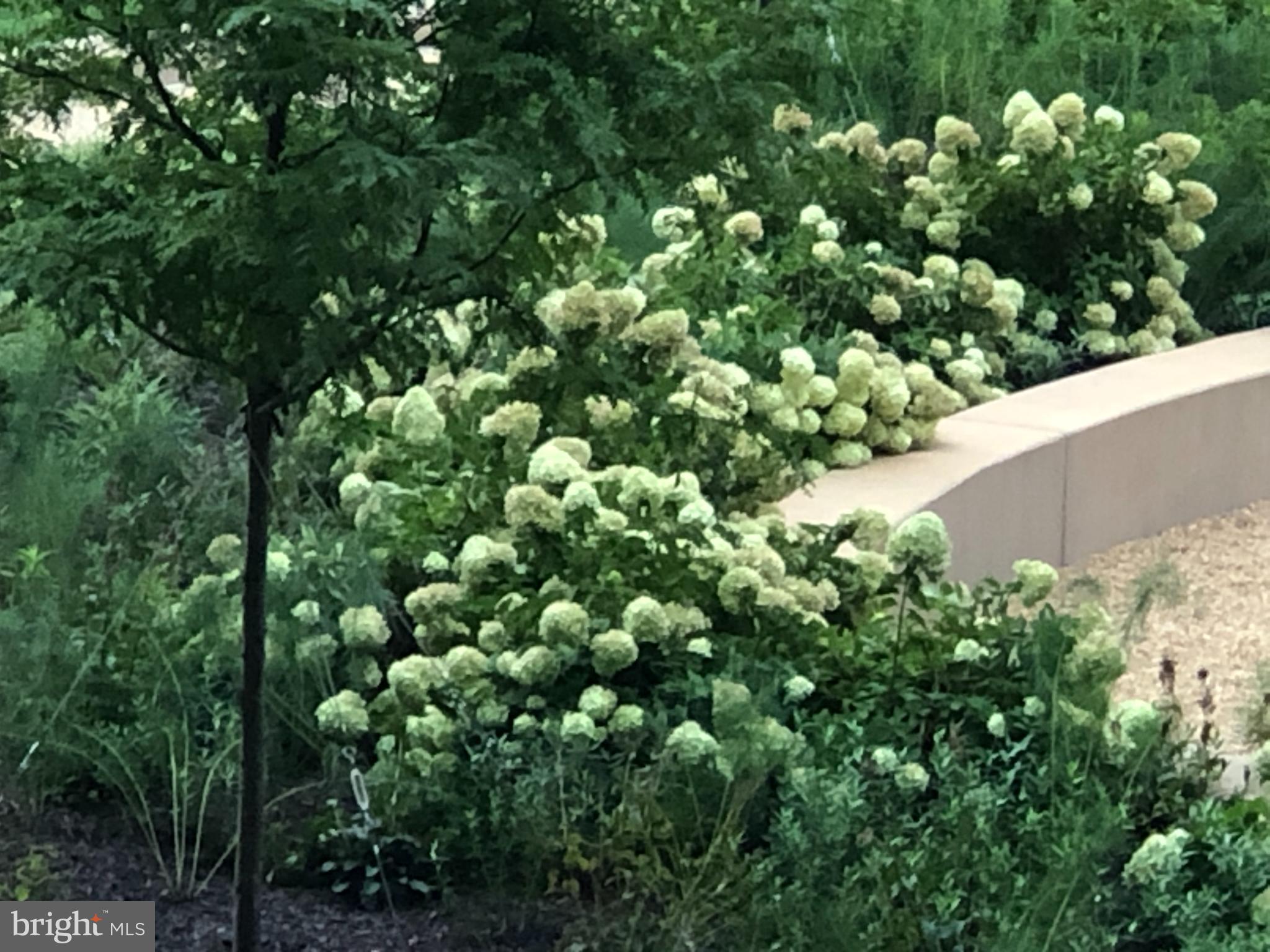 REGENCY AT MCLEAN - Residential