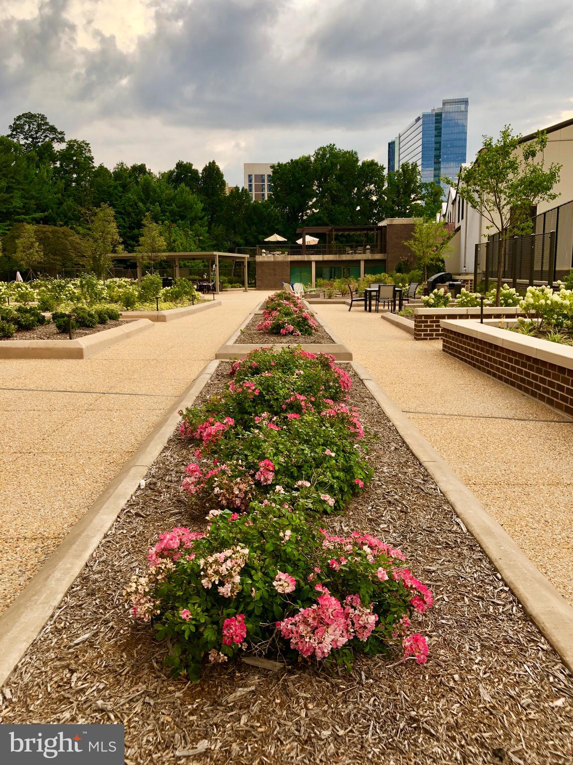 REGENCY AT MCLEAN - Residential