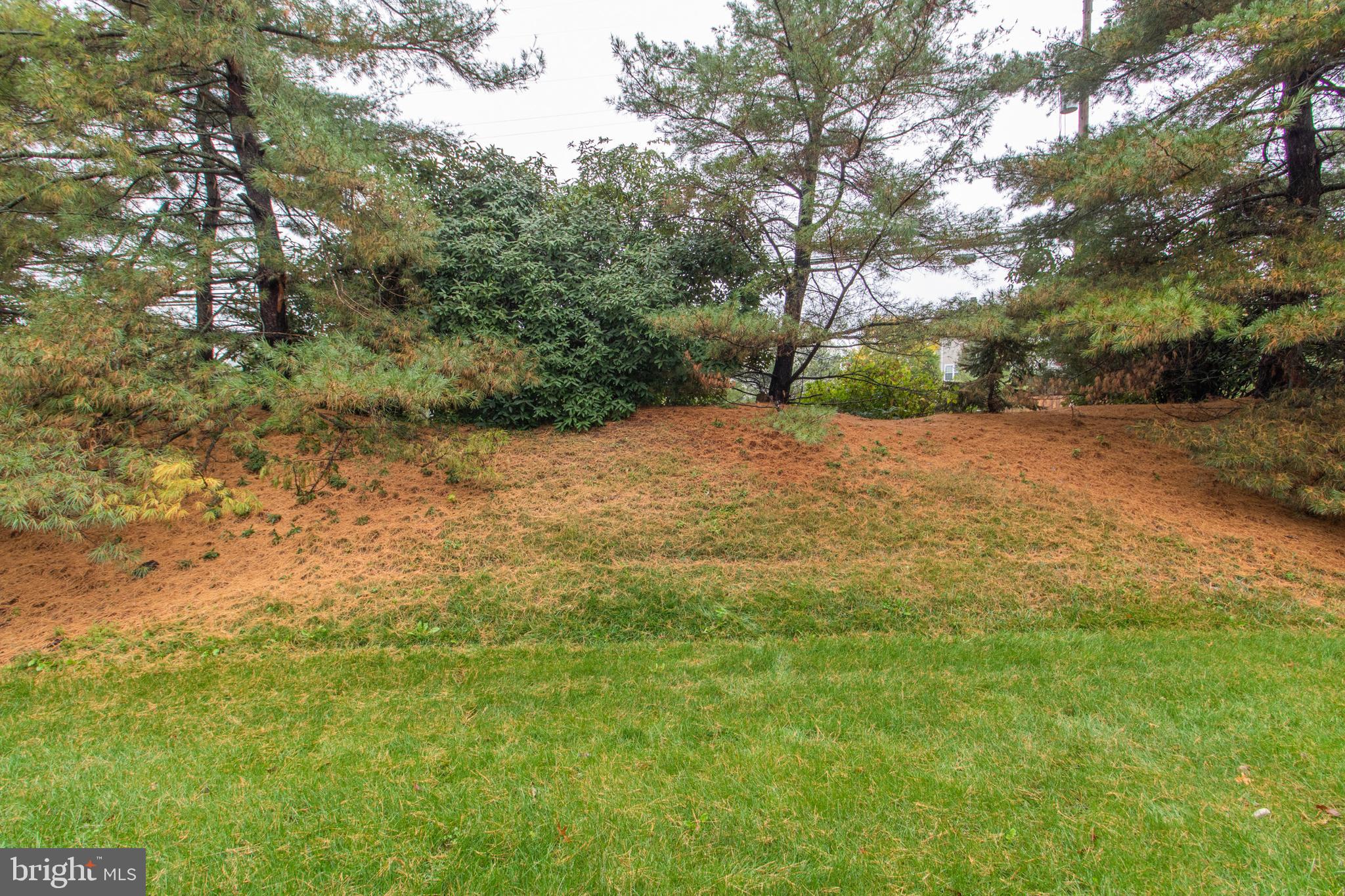 REGENTS PARK - Residential