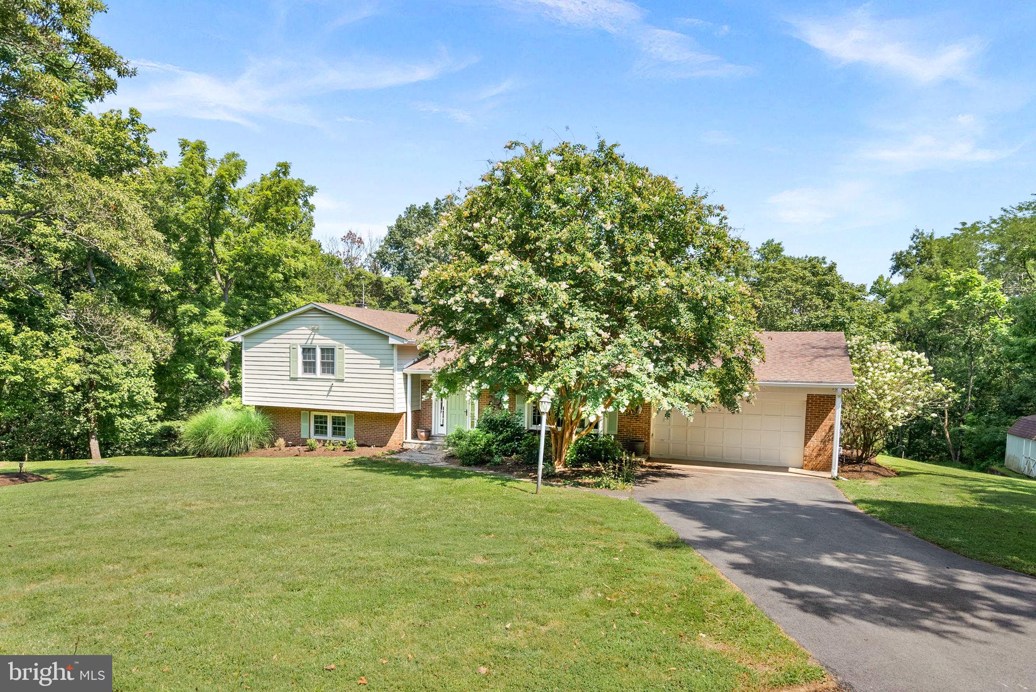 13136 ORRISON ROAD