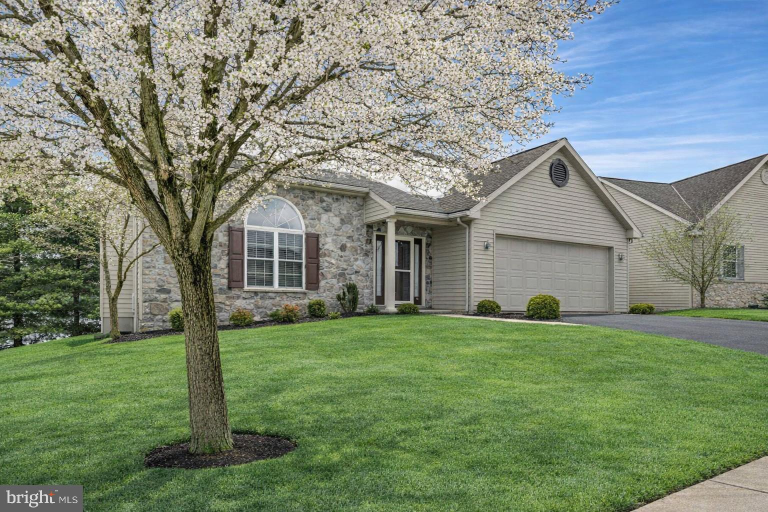 LILYFIELD - Residential