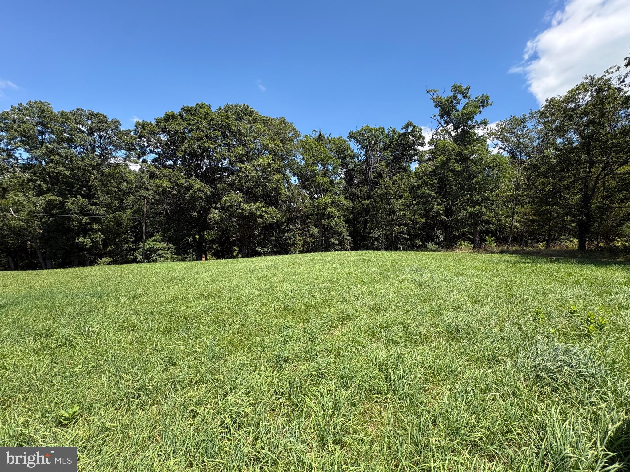 20.96 ACRES WILSON'S LANE