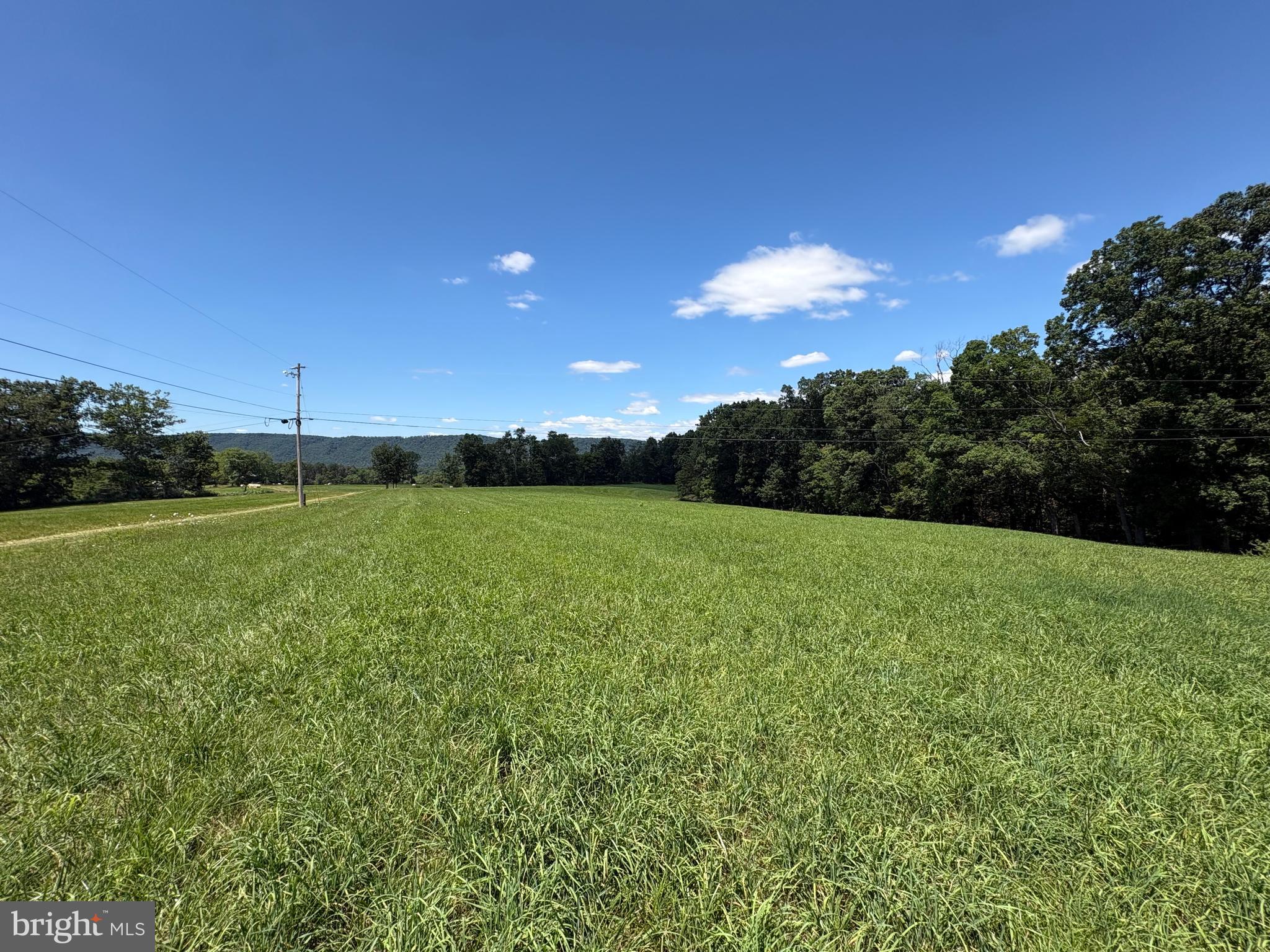 20.96 ACRES WILSON'S LANE